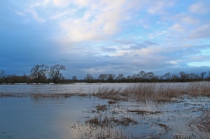 Newton Solney Floods