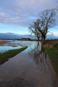 Newton Solney Floods